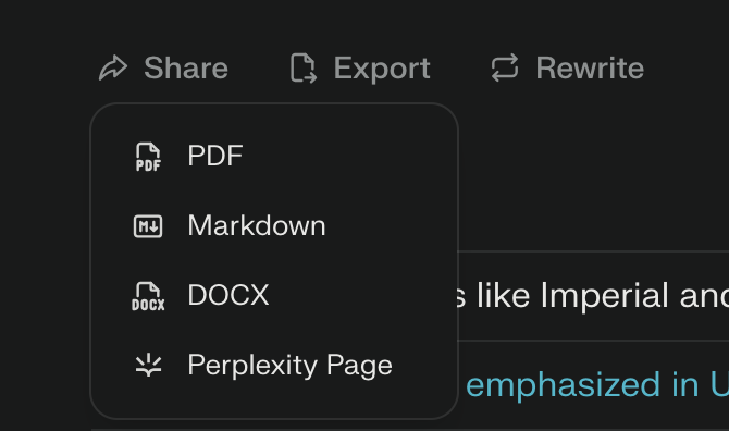 Perplexity Export Option